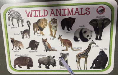Jolly Kids Picture Learning Educational Table Mat - Wild Animals